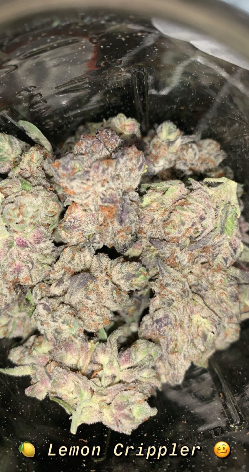 Lemon Crippler