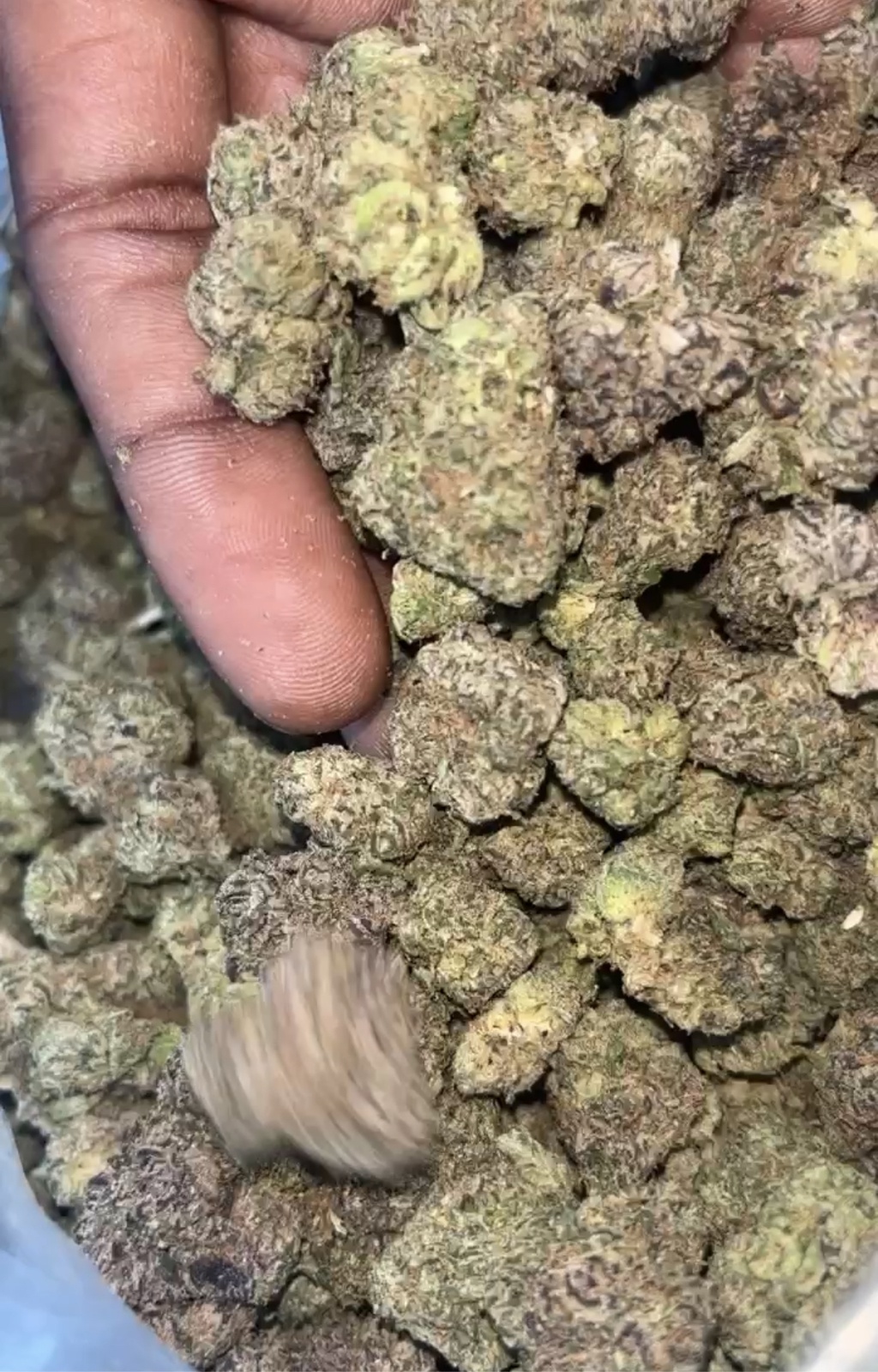 Lemon Crush