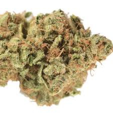 Lemon Durban