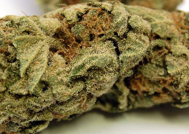 Lemon Fire