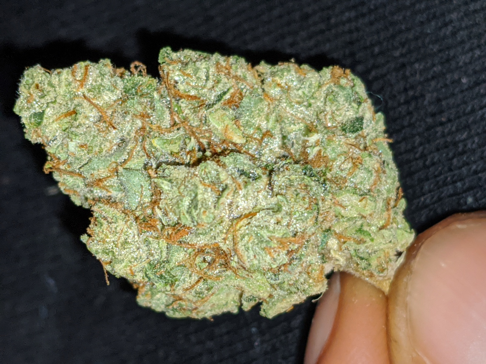 Lemon Fuel Og