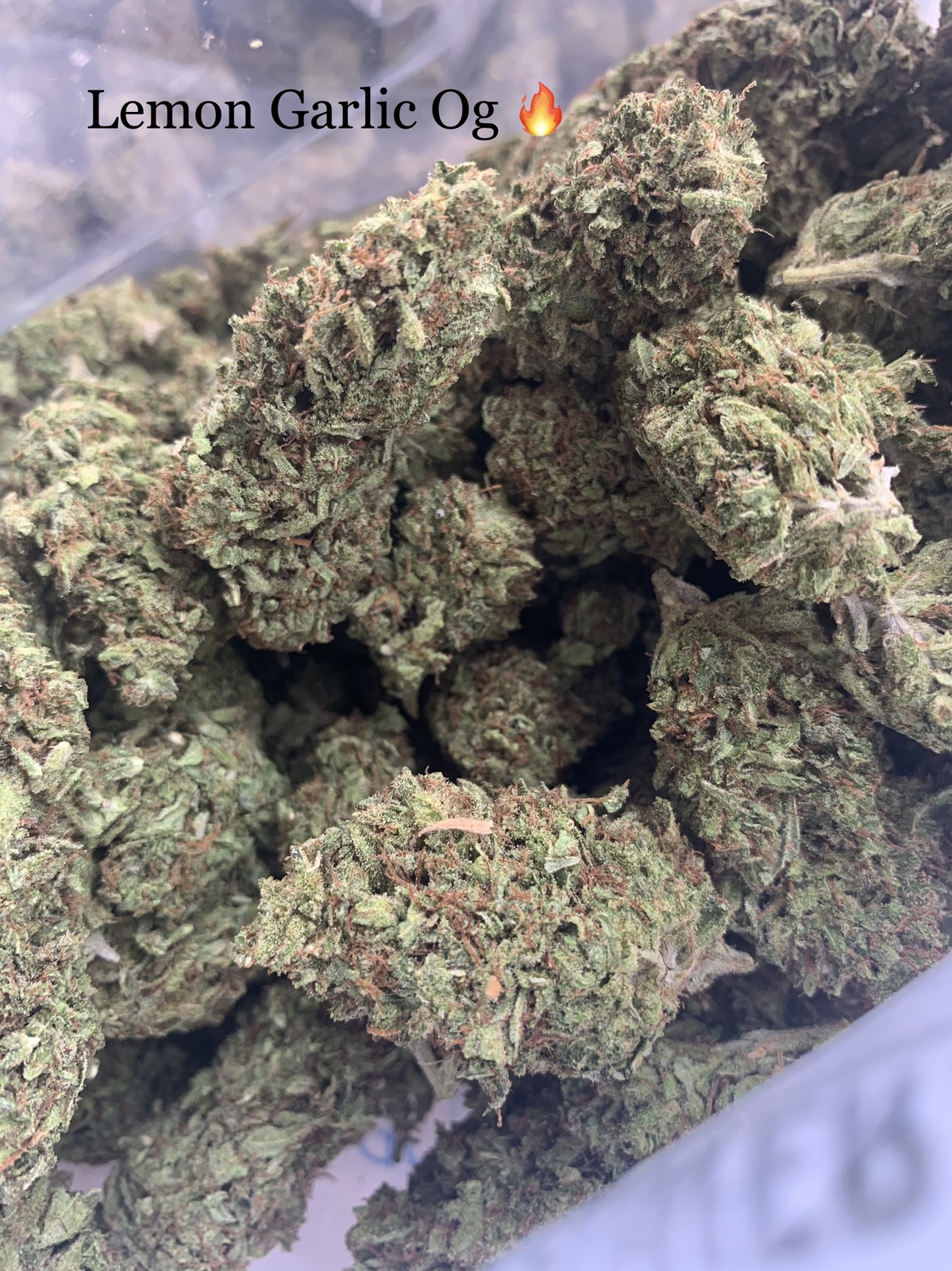 Lemon Garlic OG