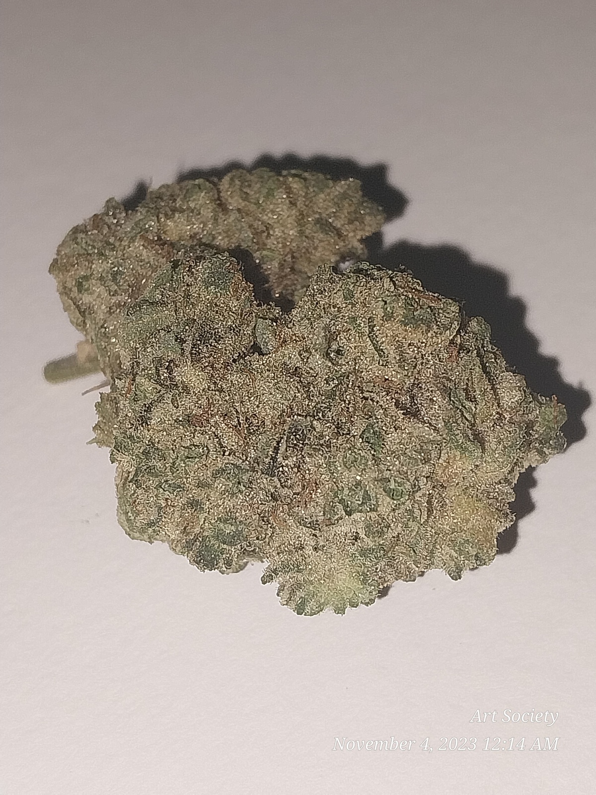 Lemon Glue