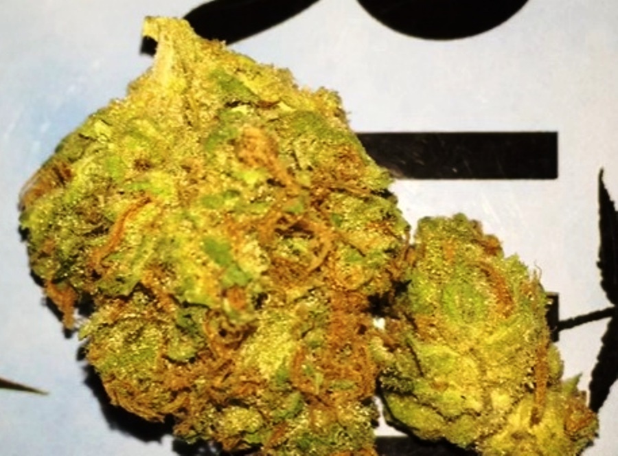 Lemon Jeffery