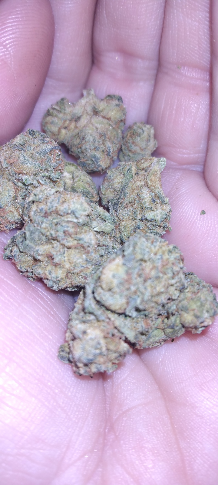Lemon Larry