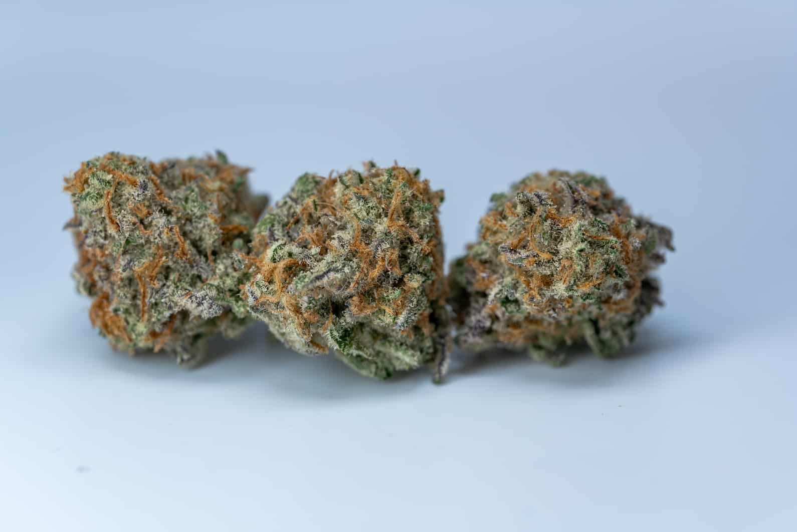Lemon MAC