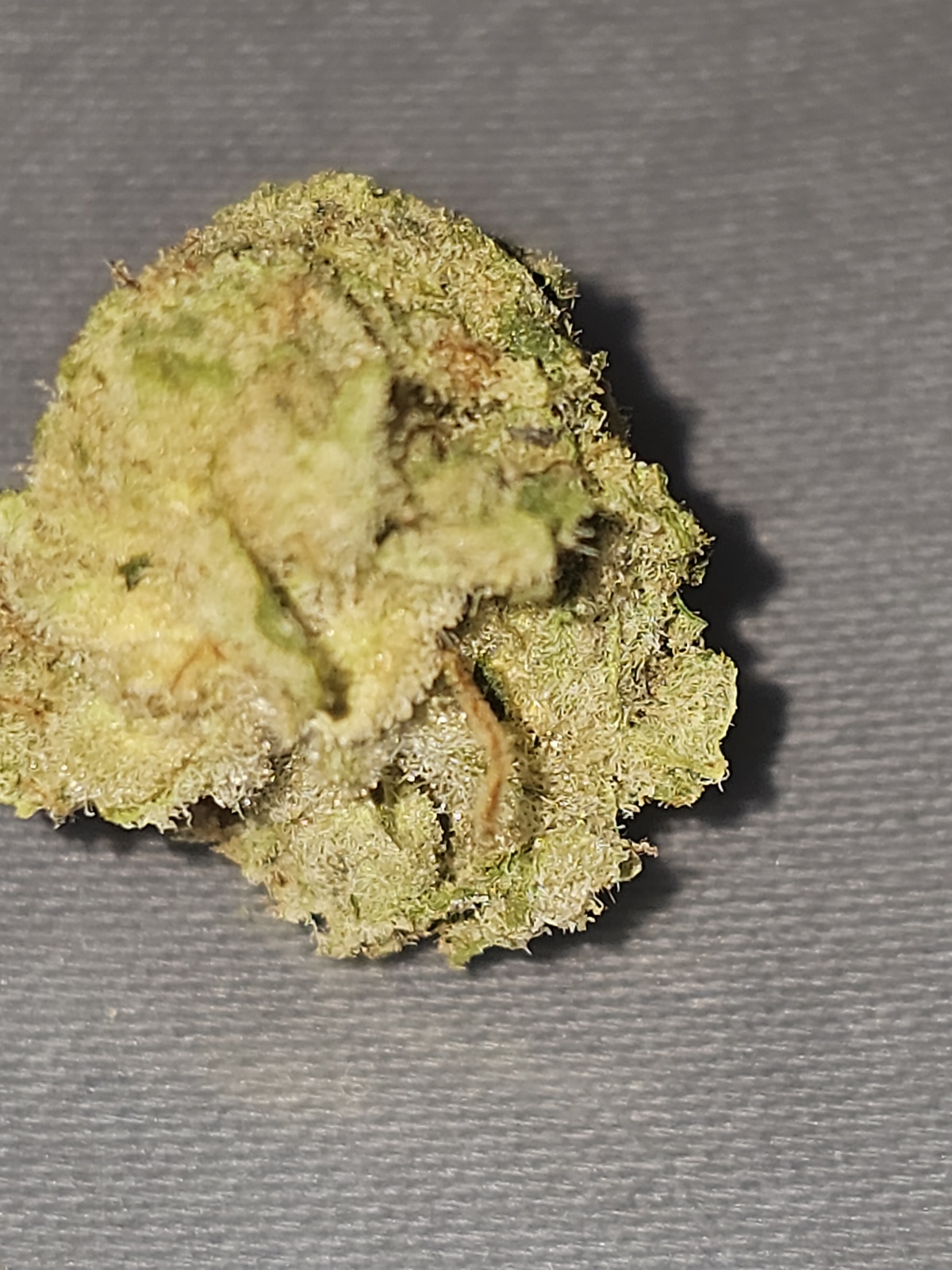 Lemon Sorbet