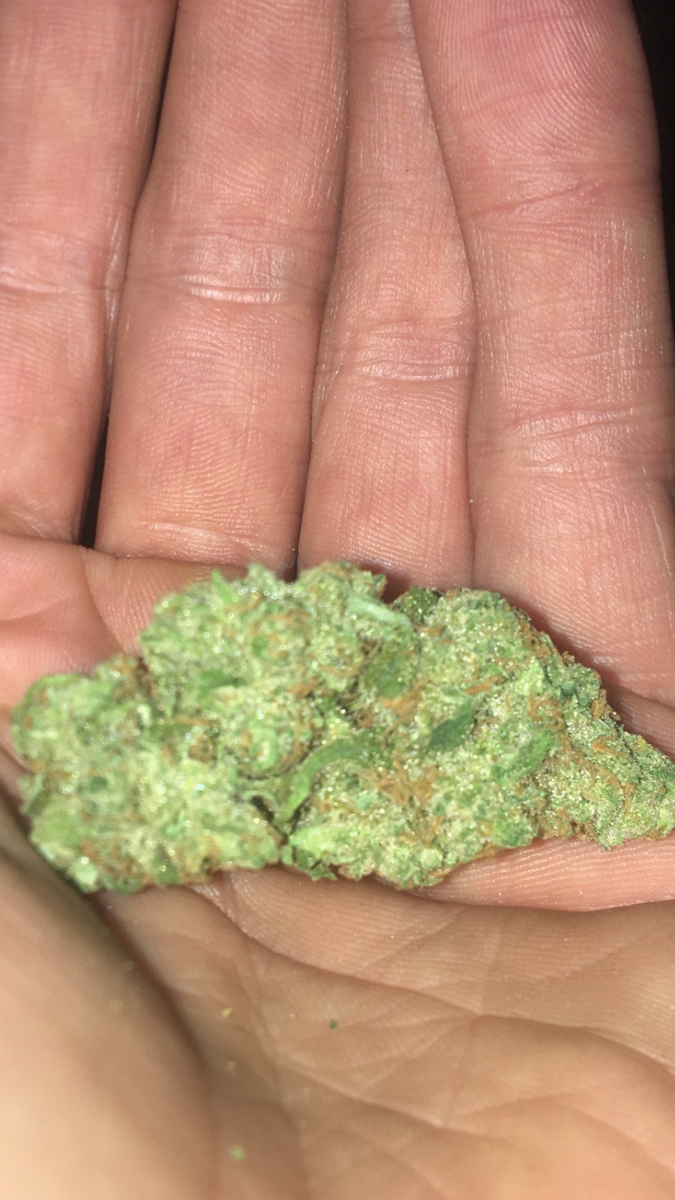 Lemon Stardawg
