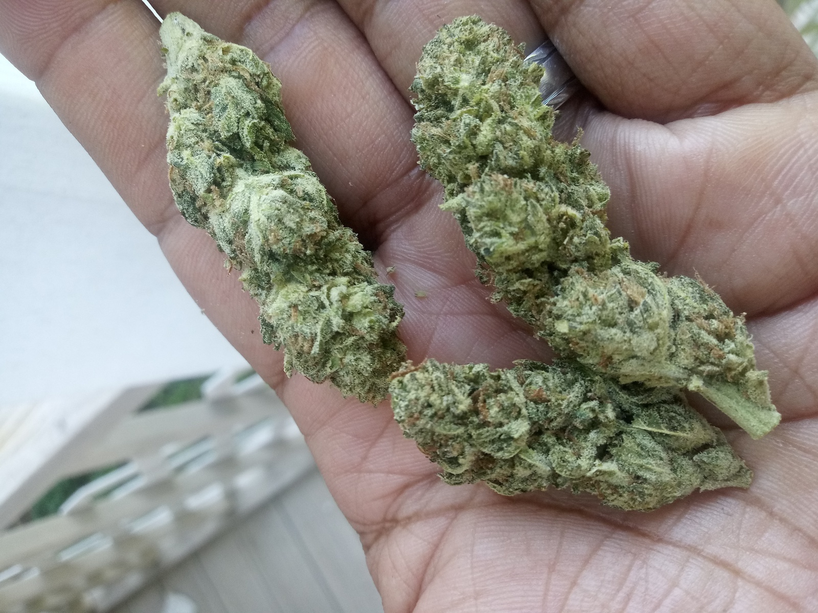 Lemon Trainwreck