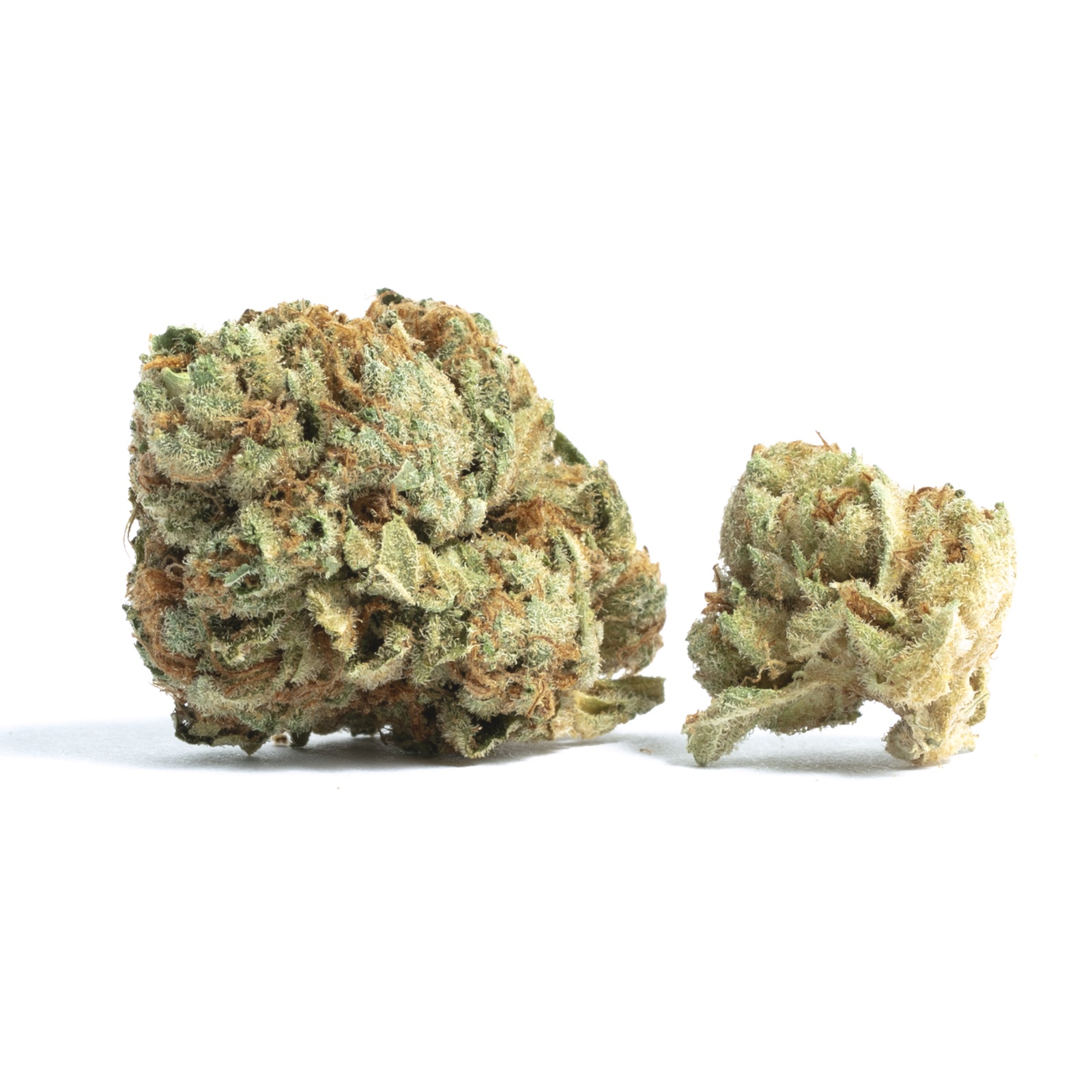 Lemon Truffle
