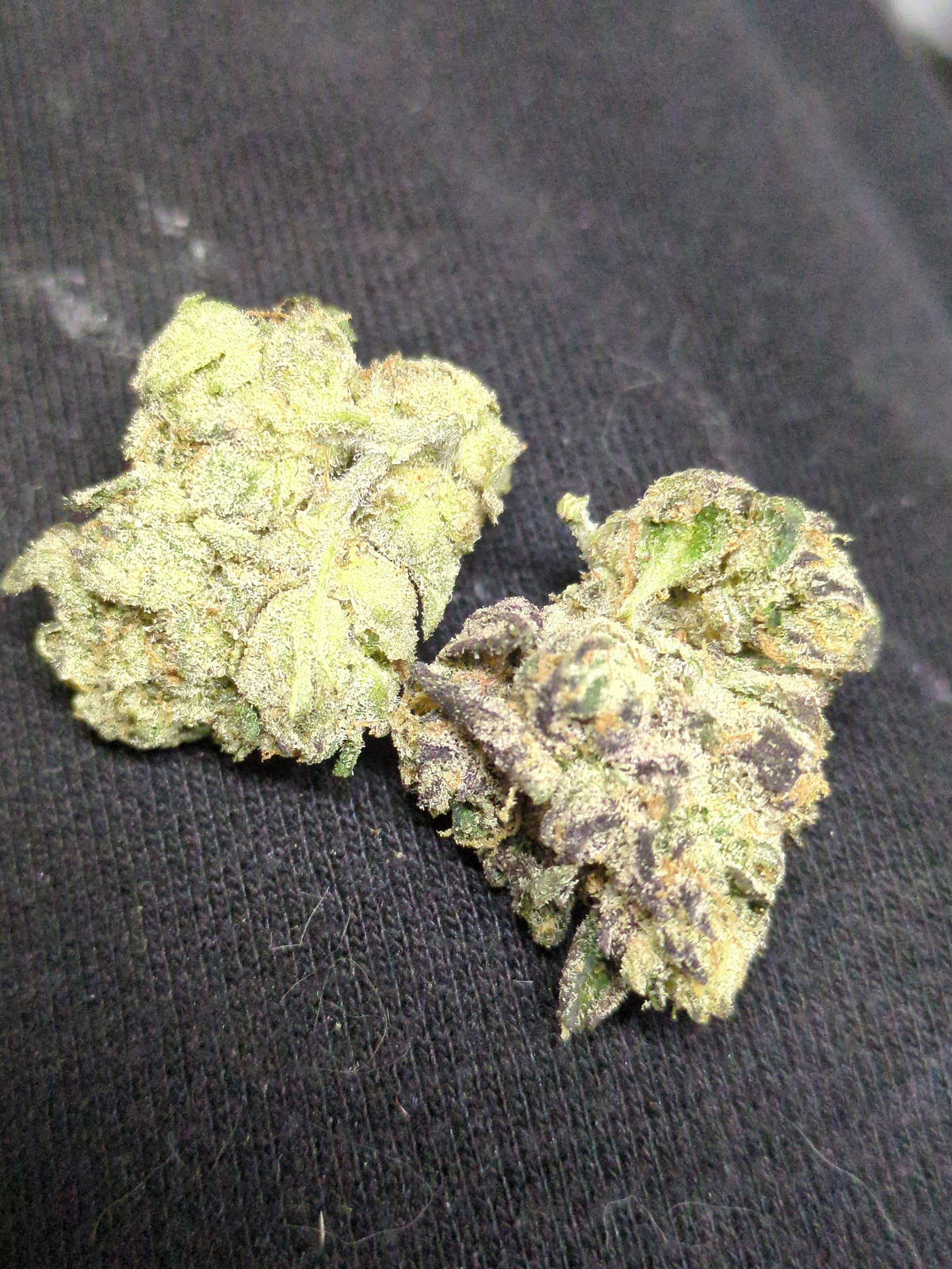 Lemonz