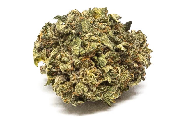Light Of Jah