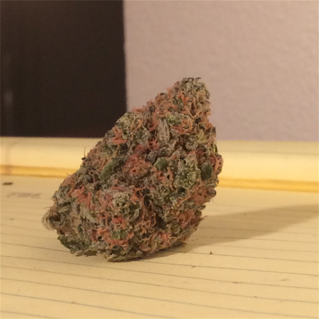 Lime Green Skunk