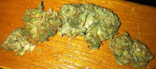 Lime Haze