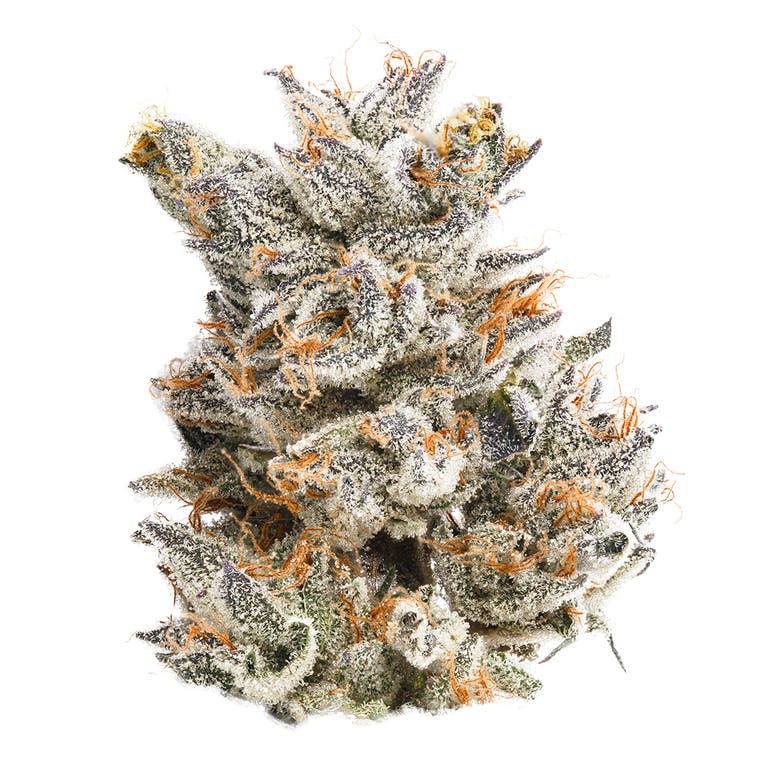Limelight Og