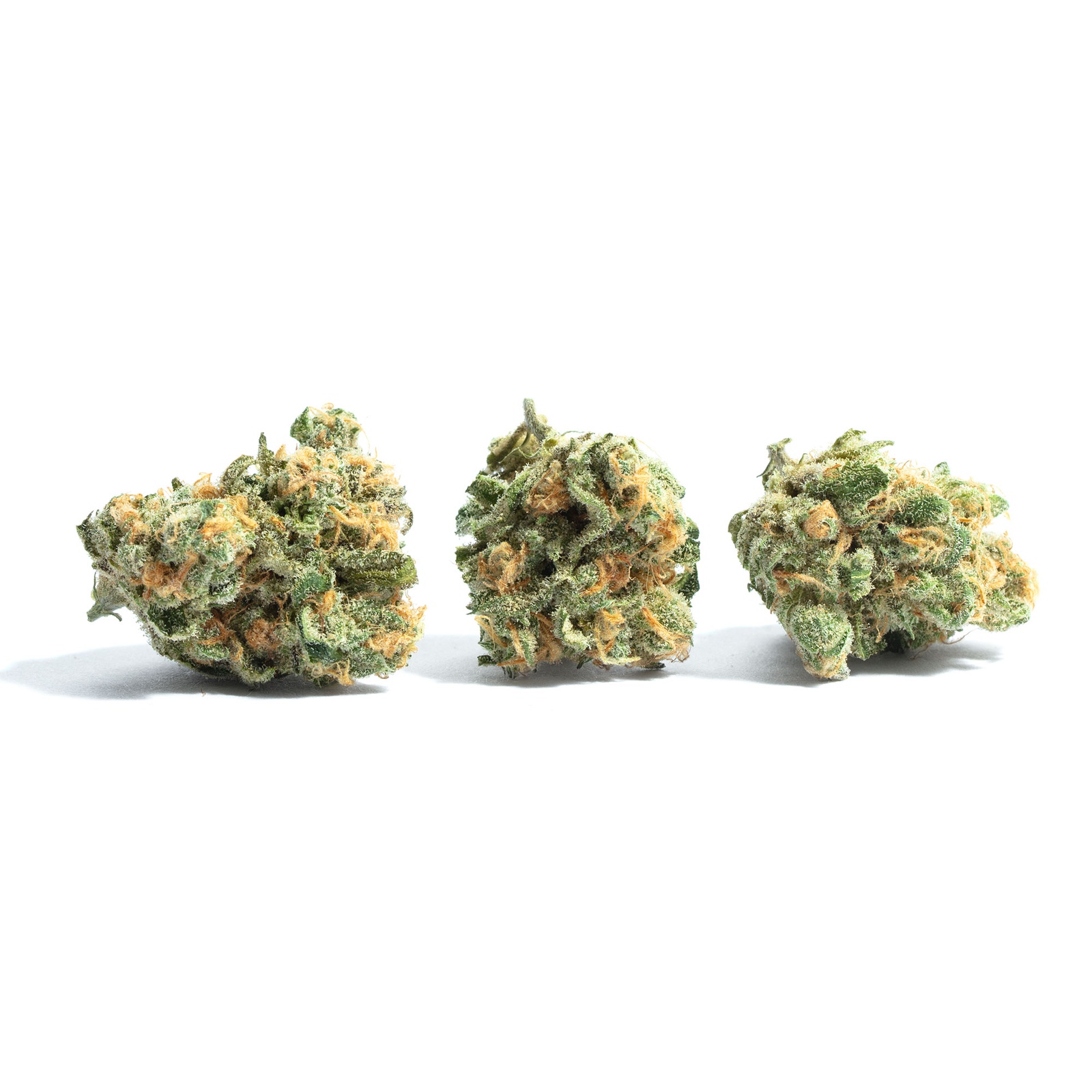 Lindsay OG