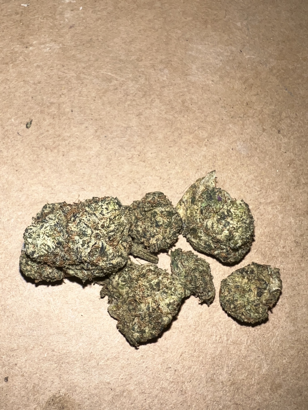 Lion'S Milk