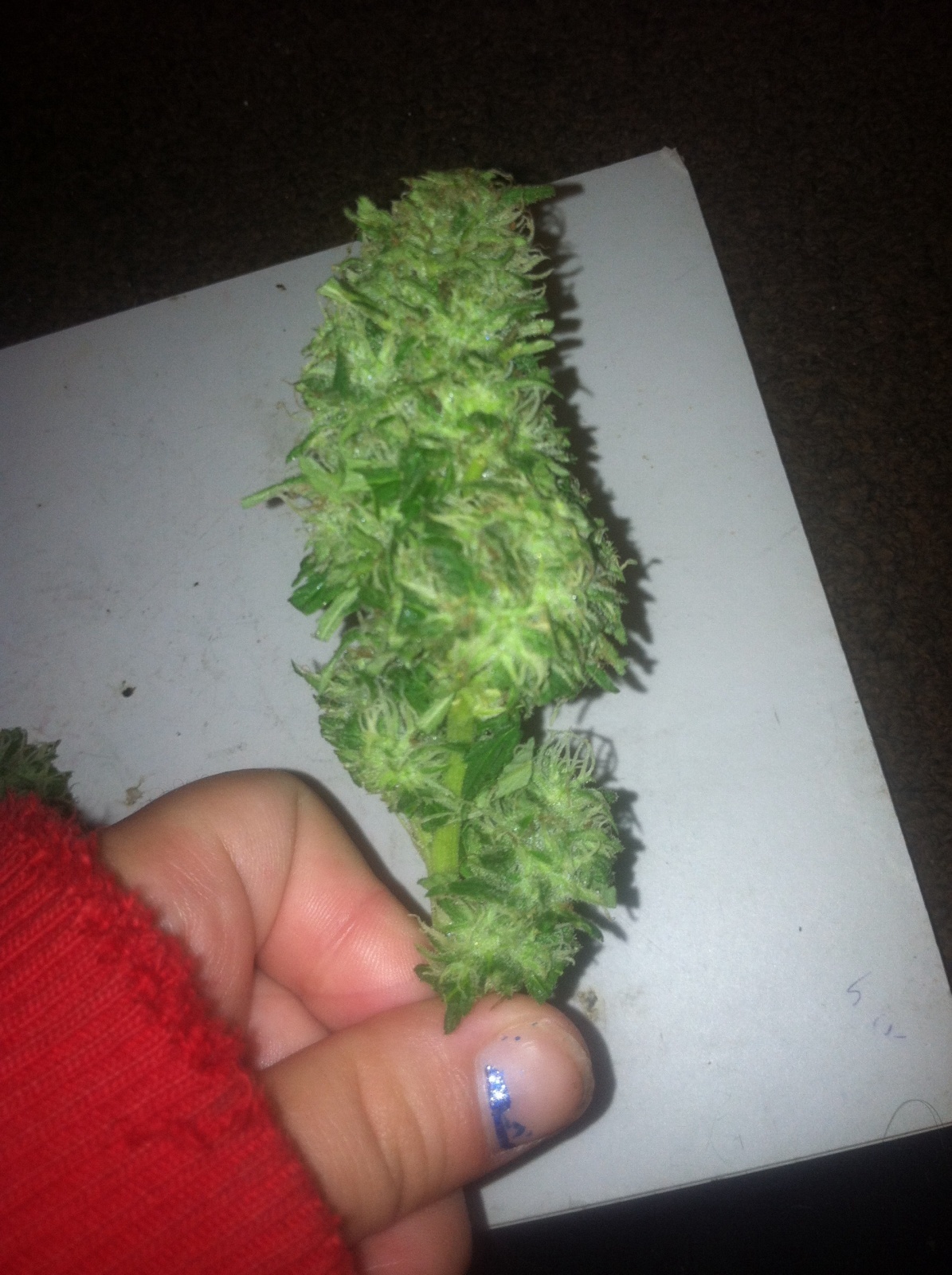 Loud