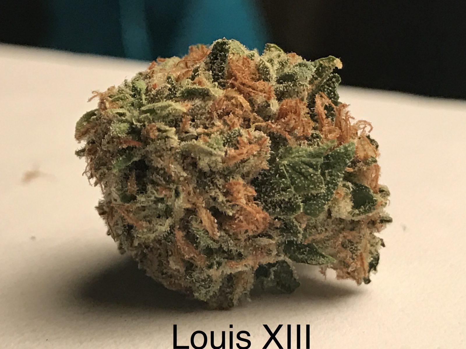 Louis XIII