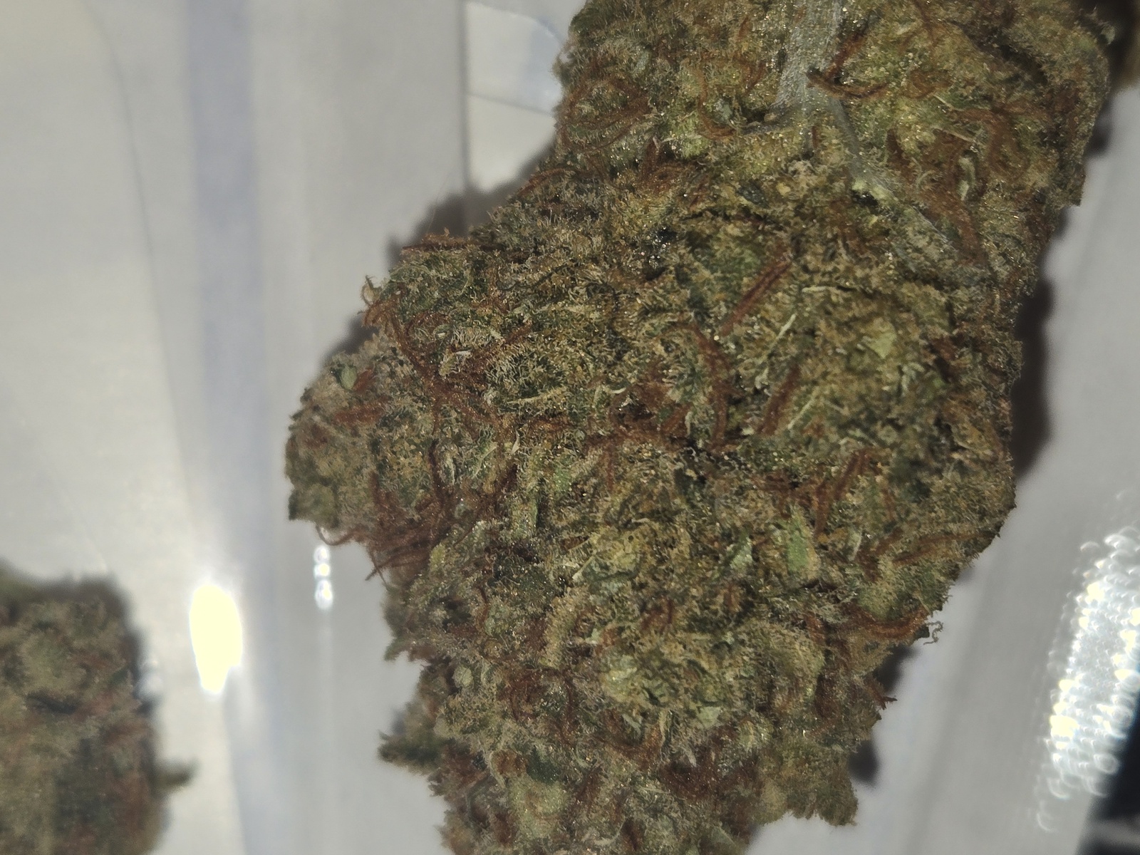 Love Haze