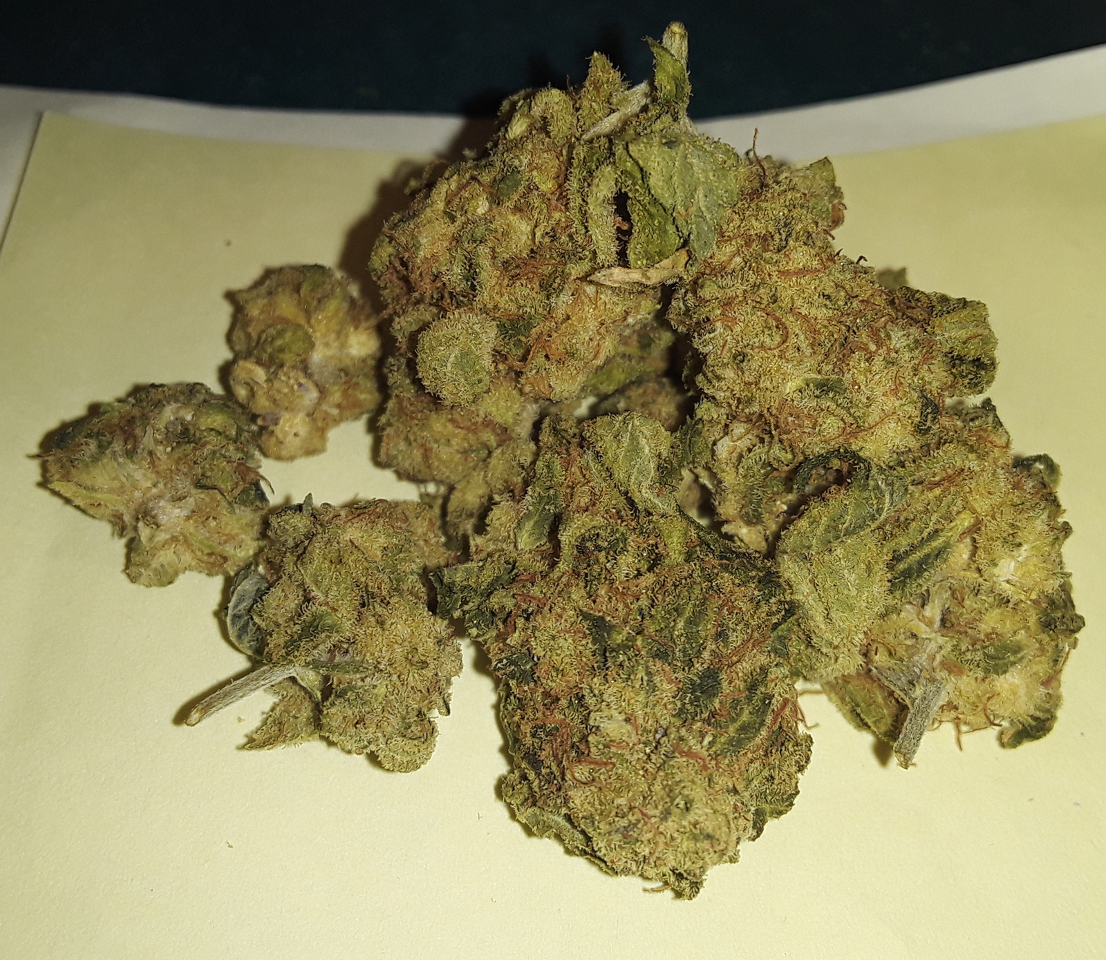 Love Potion #9