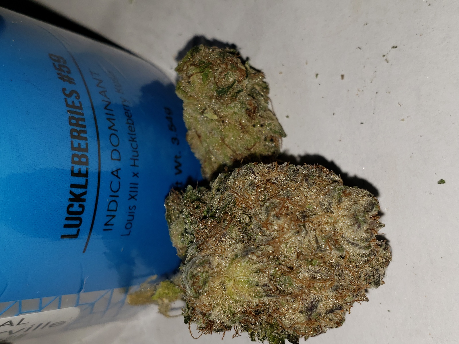 Luckleberries