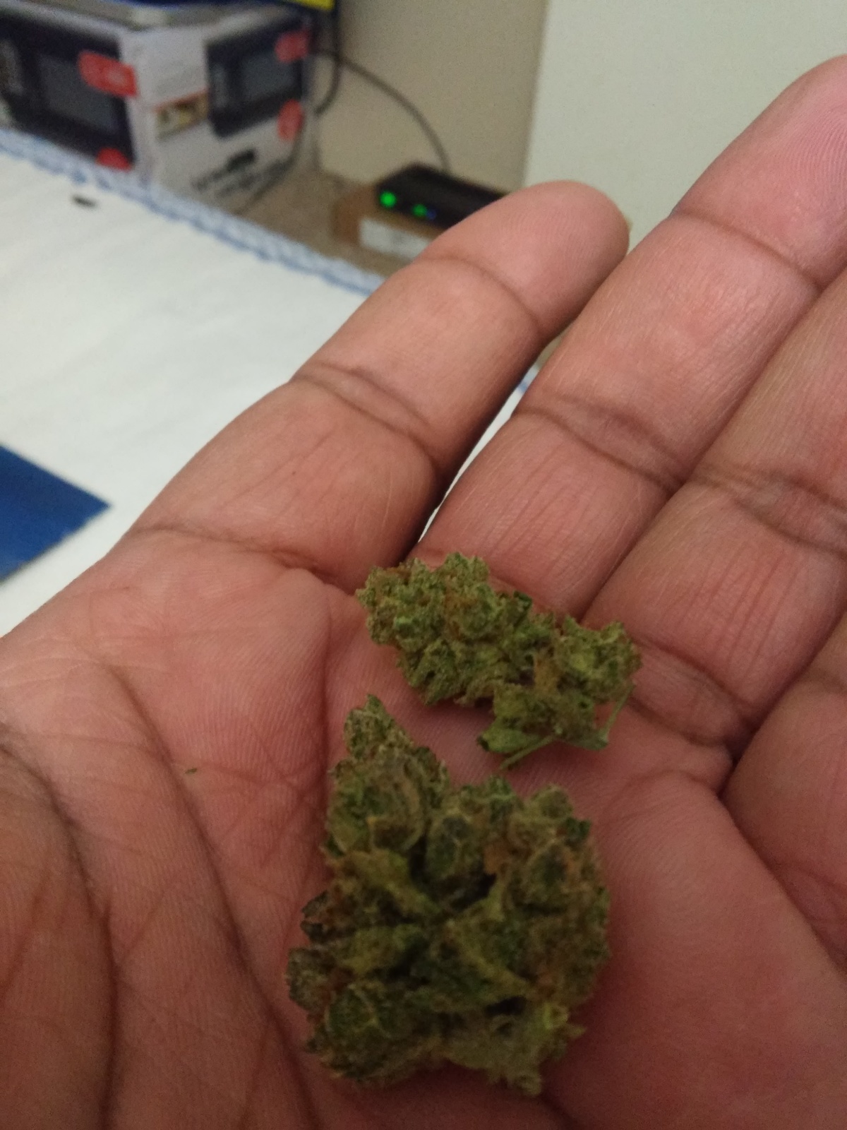 Lunar OG