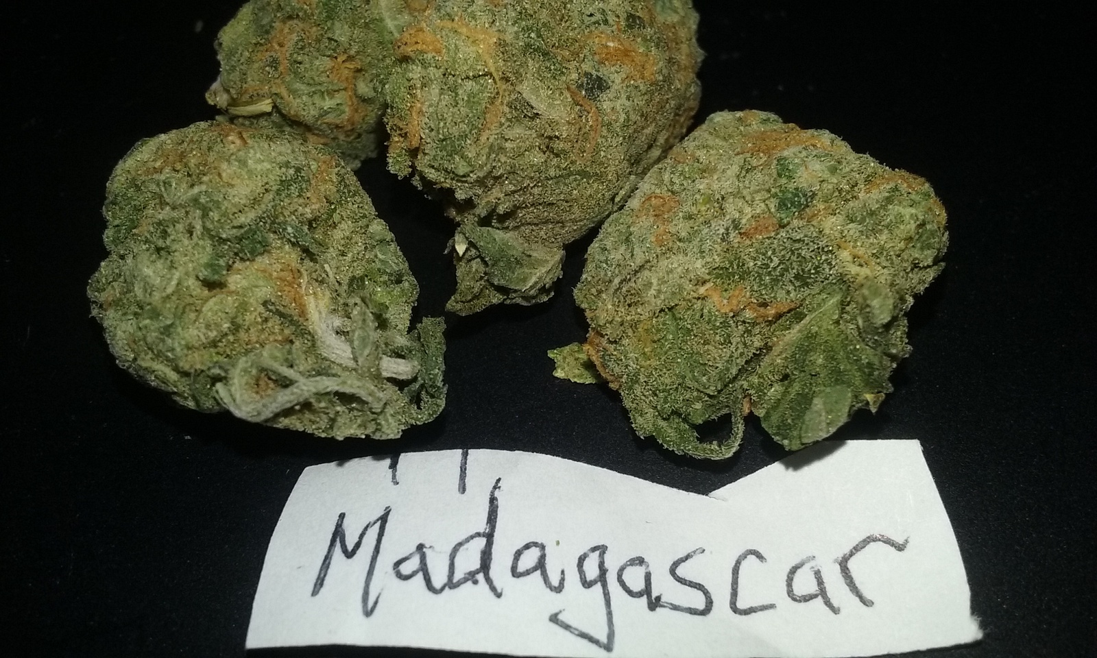 Madagascar