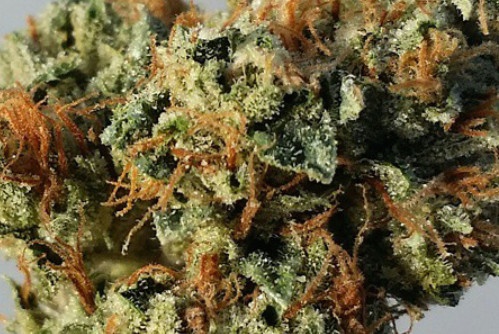 Madman OG