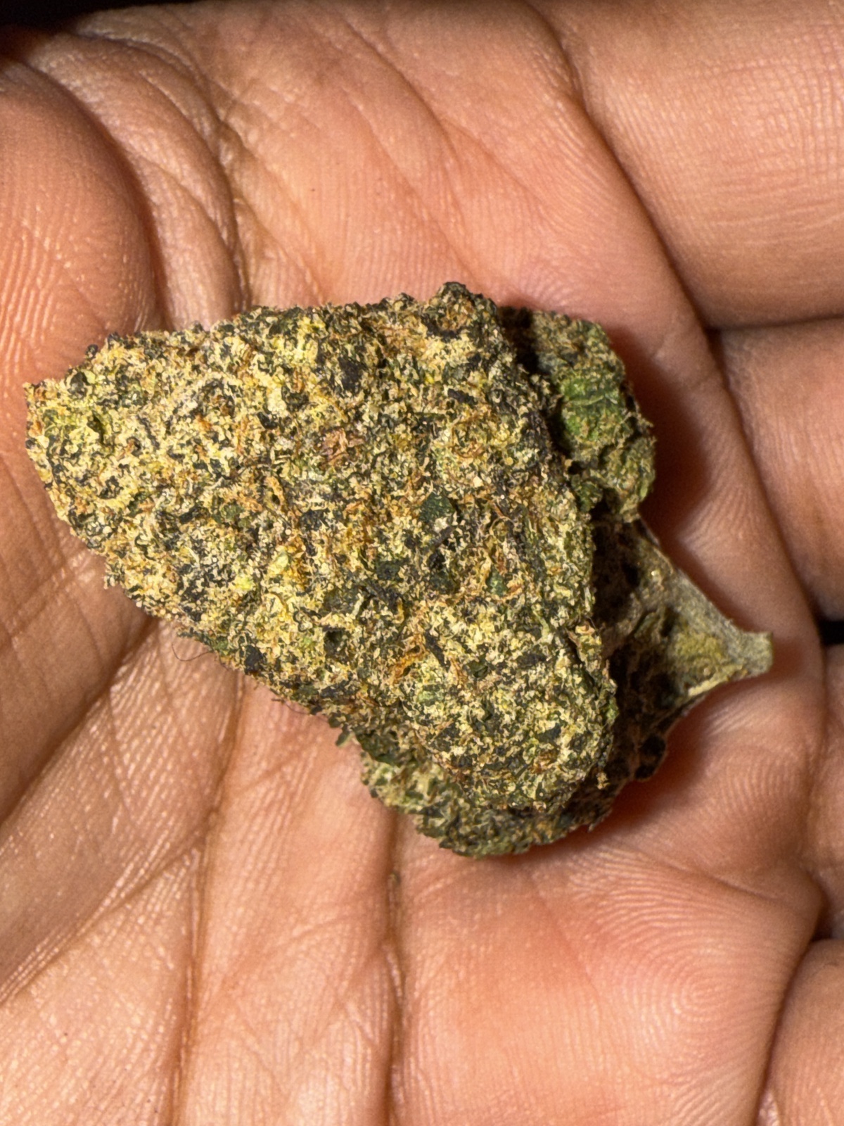 Magic Dragon