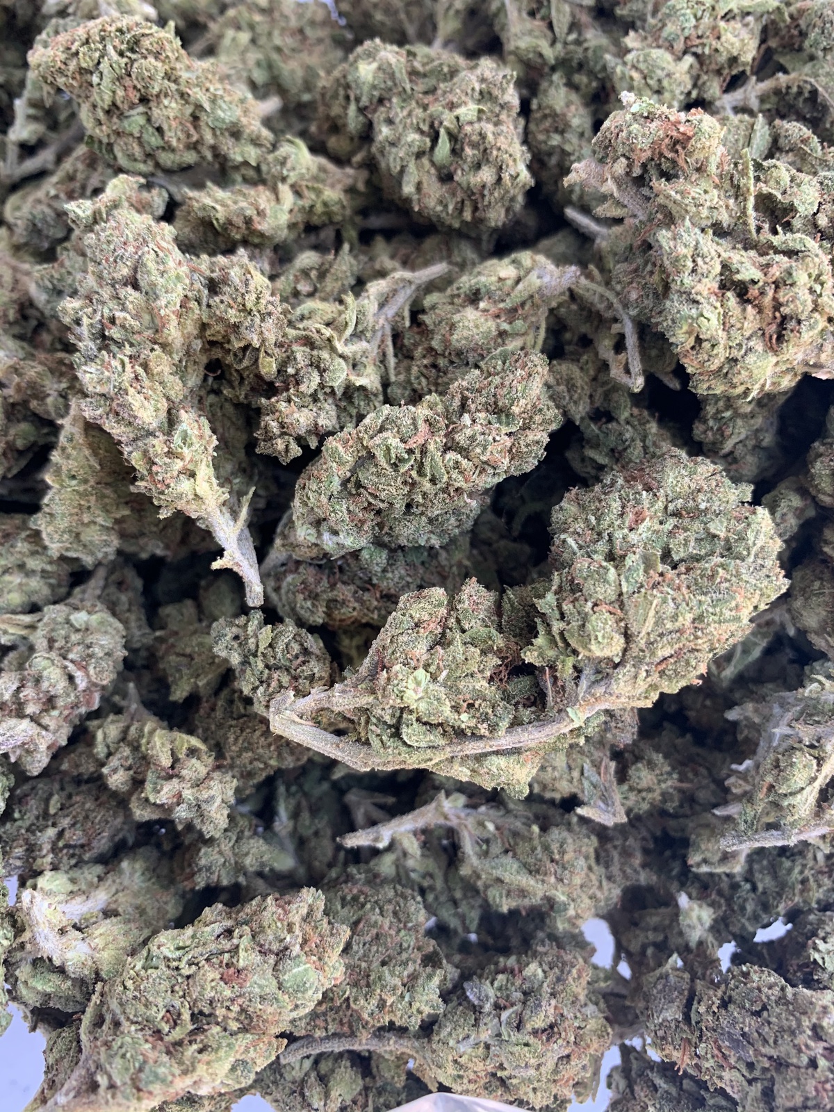 Magic Mango