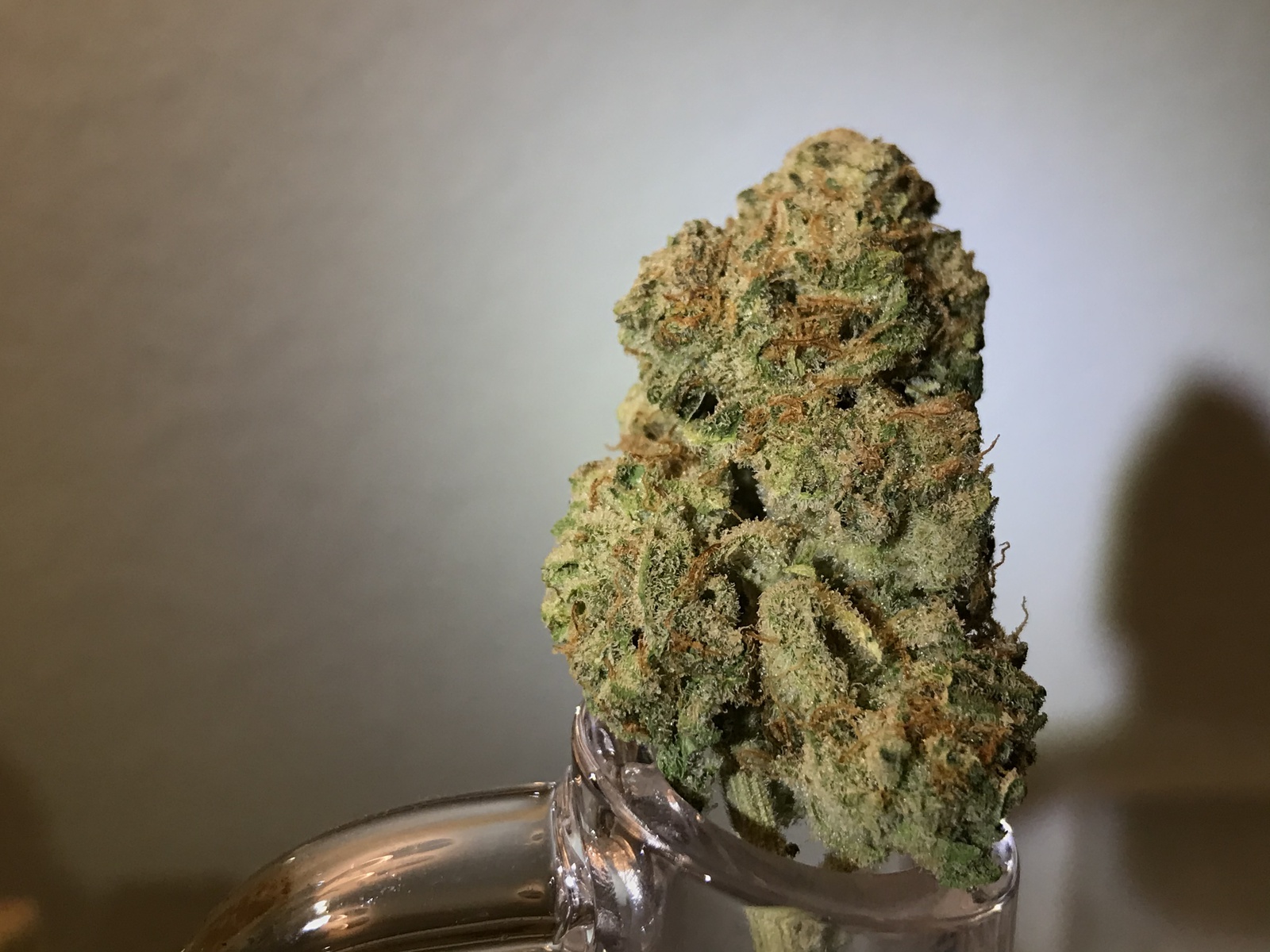 Mandarin Dreams