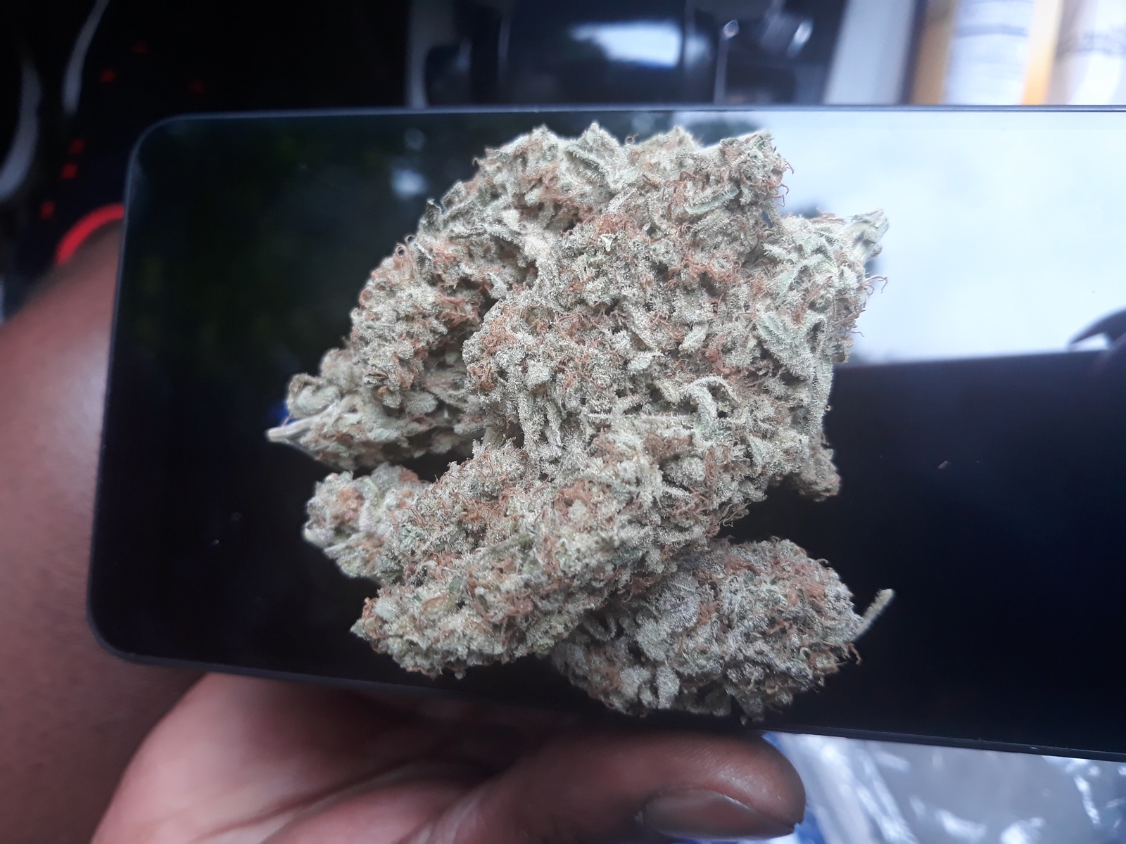 Mandarin Zkittlez