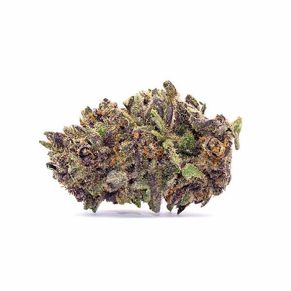 Master Hemp