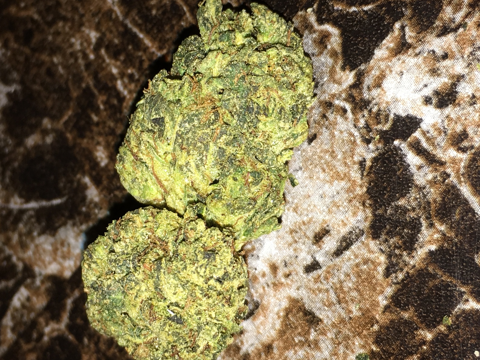 Master Miyagi Og