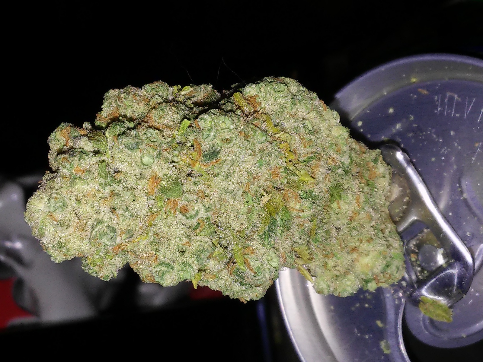 Maui Apple Diesel