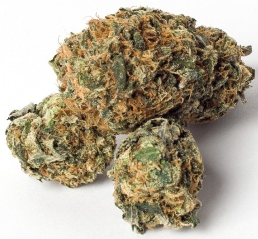 Maui Citrus Punch