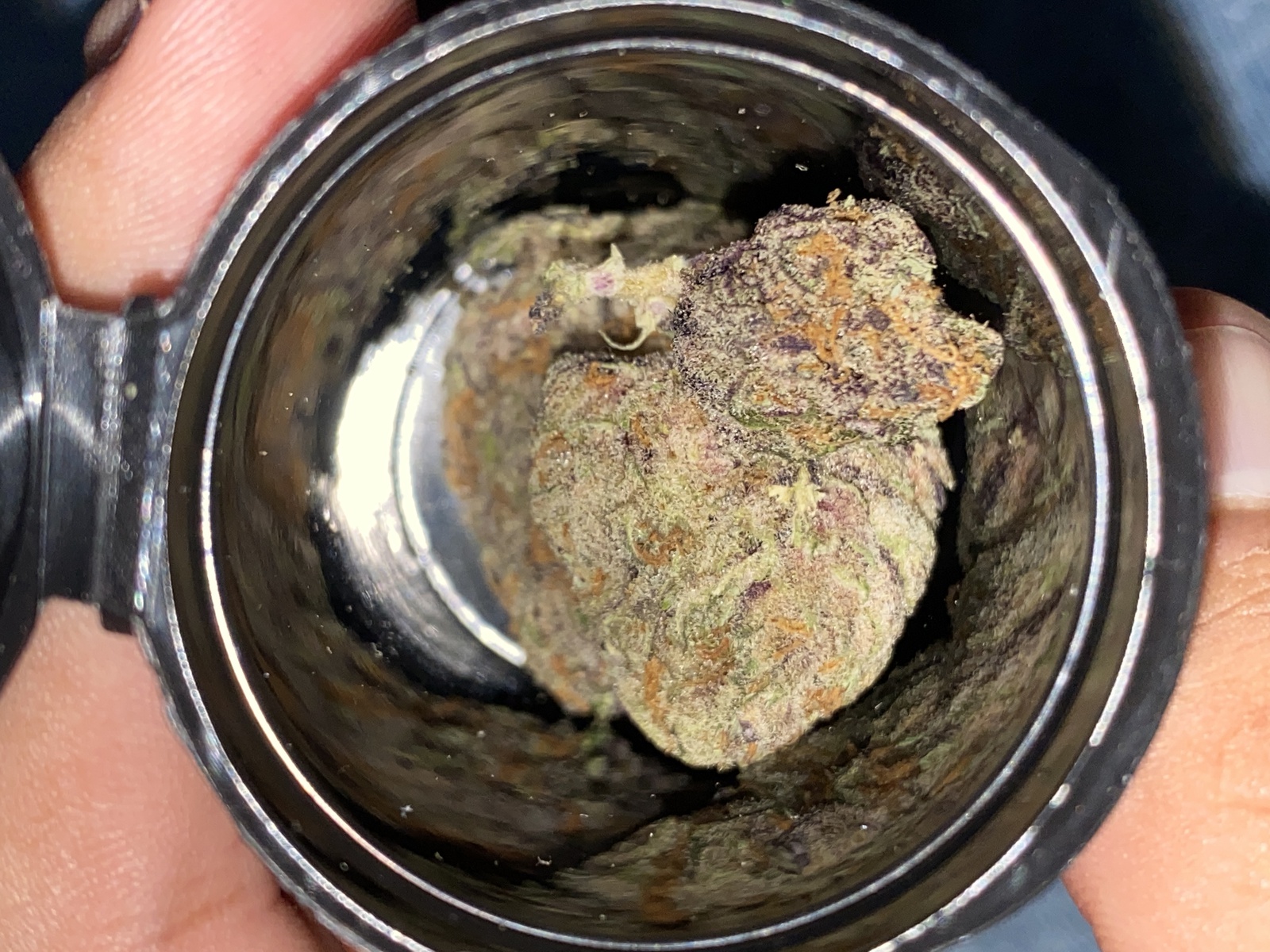 Mendo Grape Kush