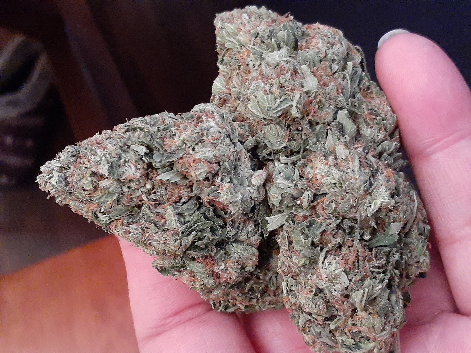 Mendo Kush