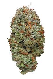 Mighty Glue