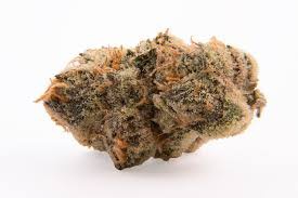 Mint Milano
