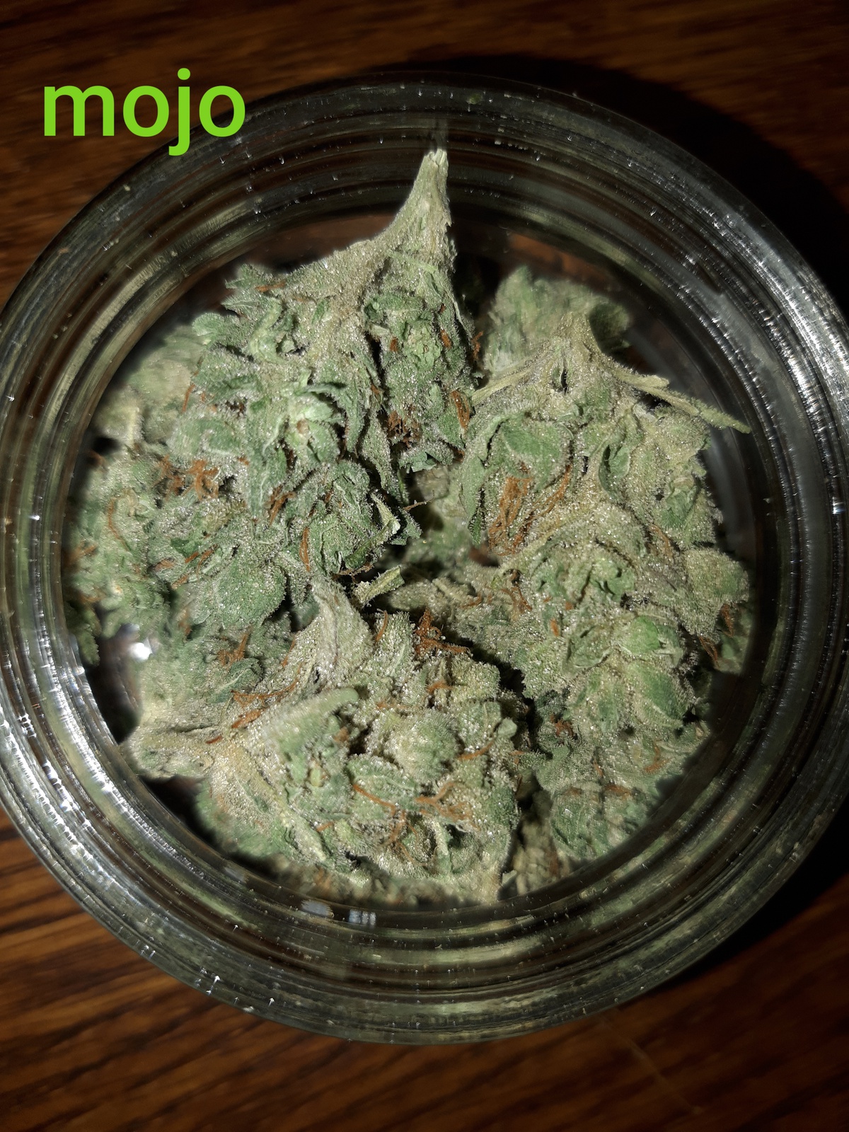 Mojo