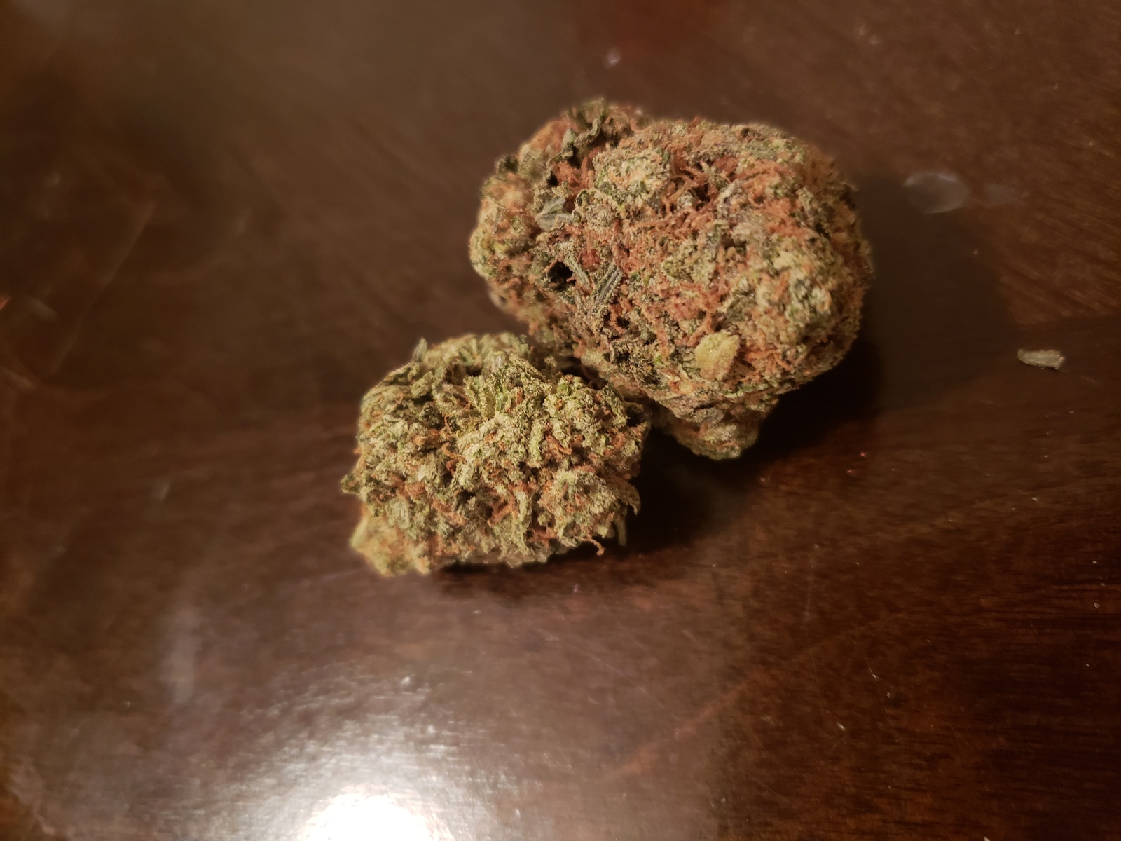 Monkey Mints