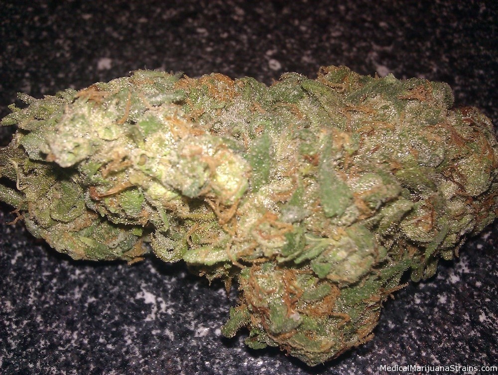 Monkey Paw