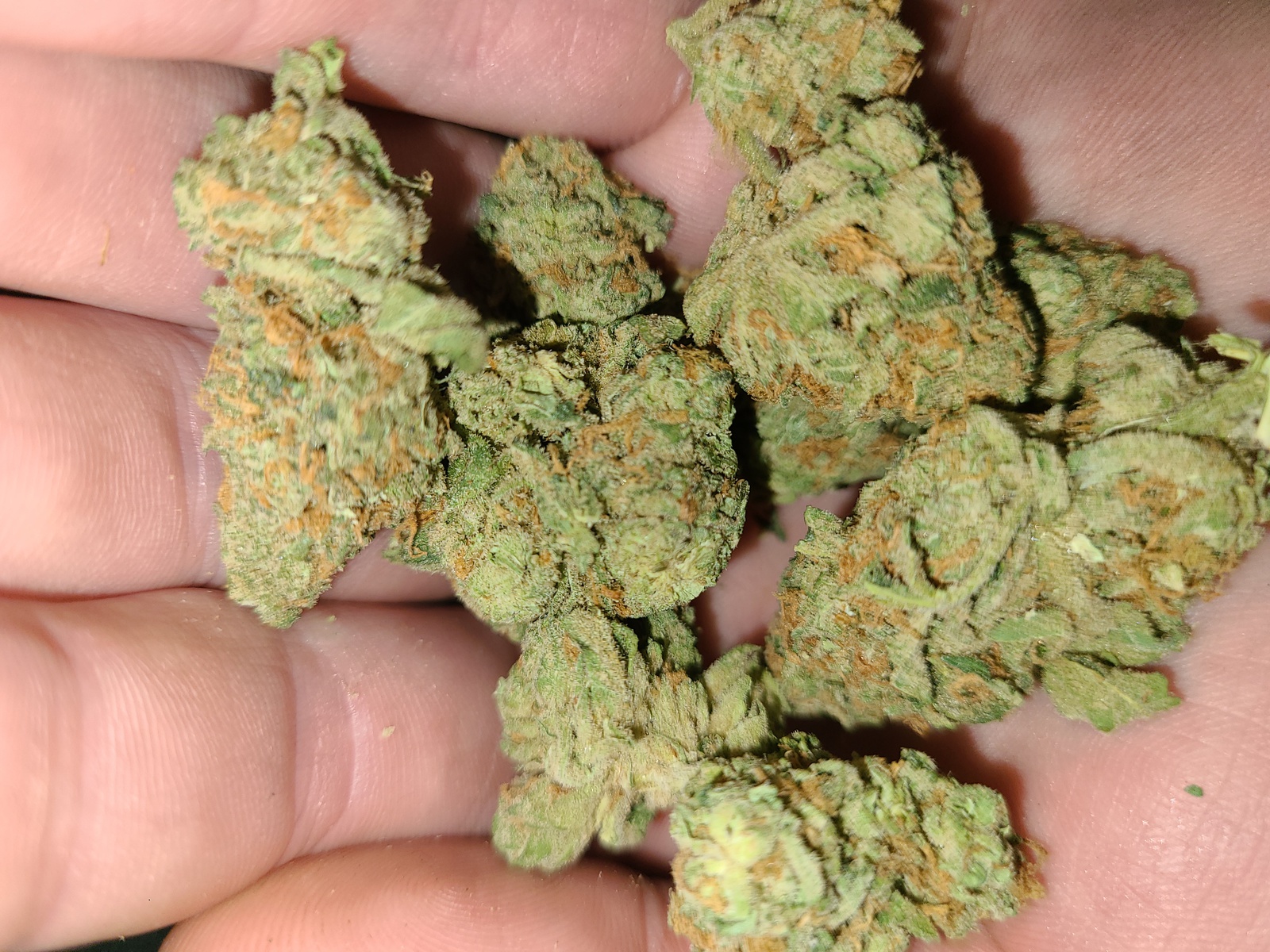 Morockin Kush