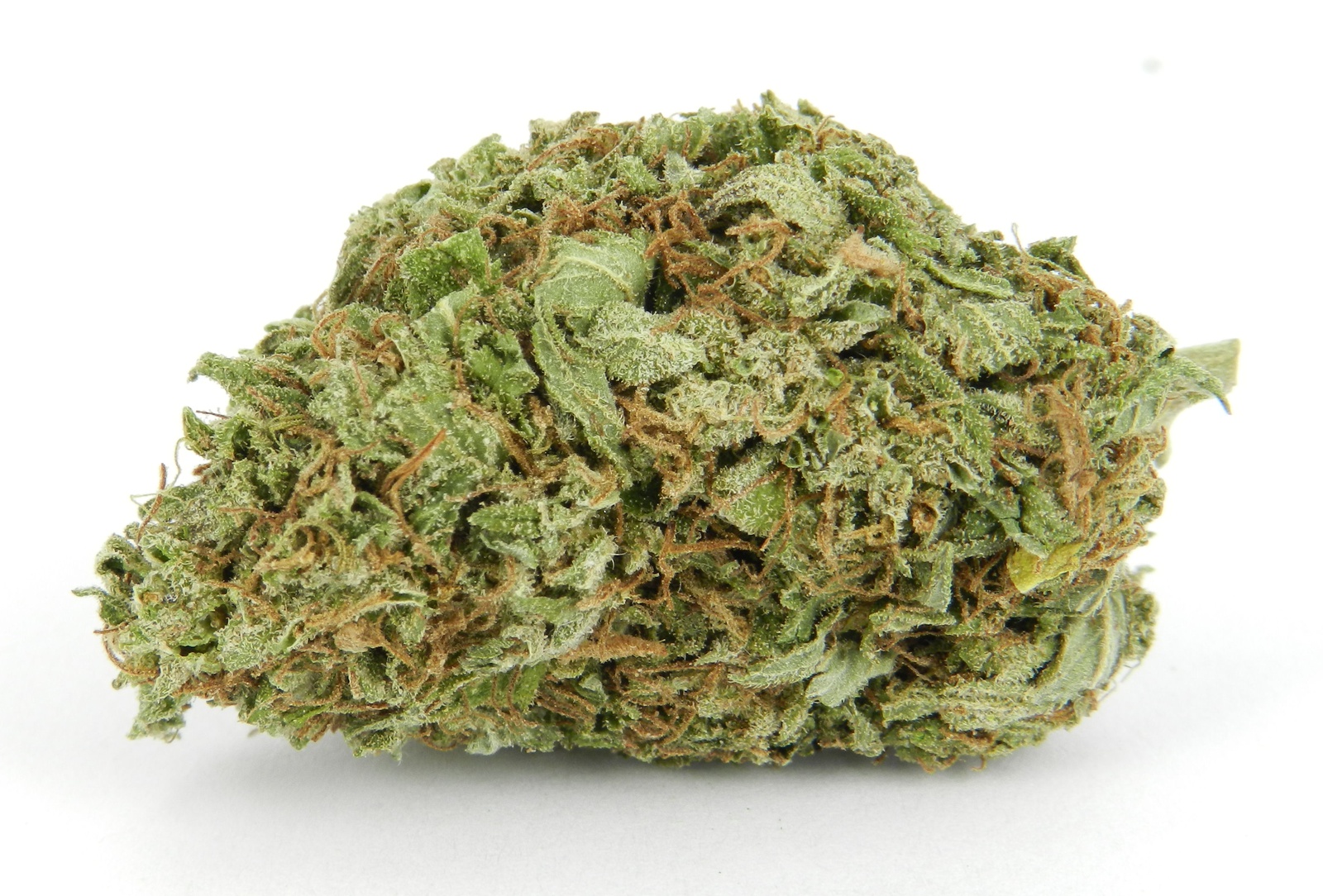 Mountain Kush