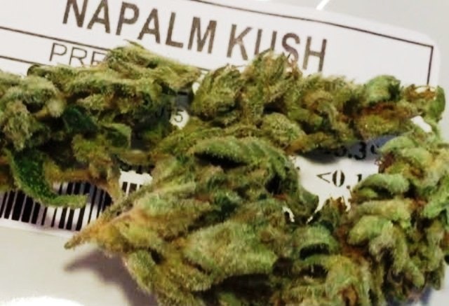 Napalm Kush