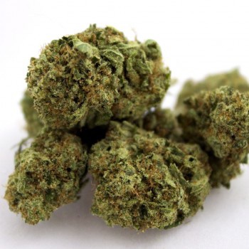 Nepal Kush