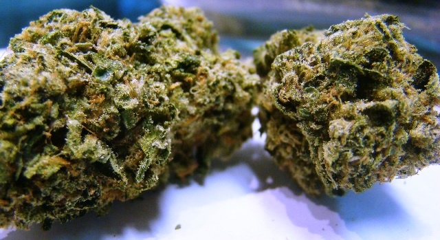 Nightmare OG