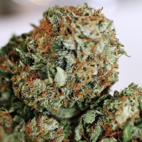 Northeast OG